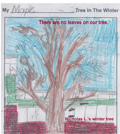 Nick L's Winter Tree